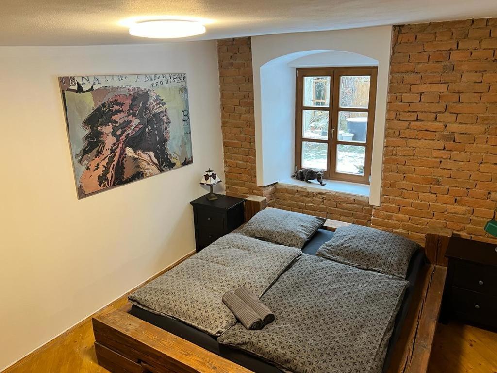 Wintermill Apartment Laznicky Екстериор снимка